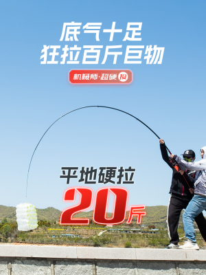 正品禧玛精工鱼竿海竿抛竿全套装海杆鲢鳙杆海钓竿甩杆超硬远投竿